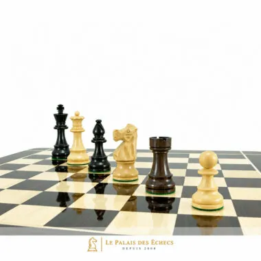 Pièces noires du jeu d'échecs Staunton Chevalier sur échiquier, vue en situation de jeu