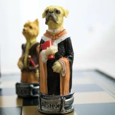 Pièces d'échecs chiens, le fou en robe noire tenant un livre rouge