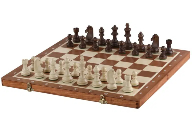 Echiquier en Bois Pliable et Pieces Echecs Staunton en Bois avec Rangement