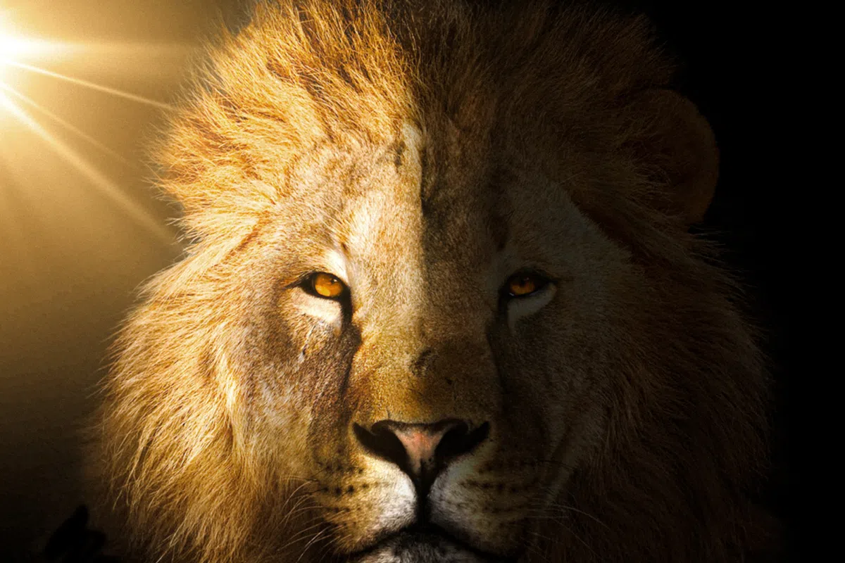 Le coup du lion aux echecs