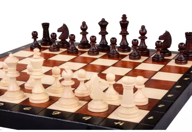 Jeu d'Échecs Magnétique 35x35 cm – Echiquier Magnetique en Bois avec Pièces Staunton