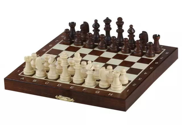 Jeu d’Echecs Léger pour Voyage avec Rangement