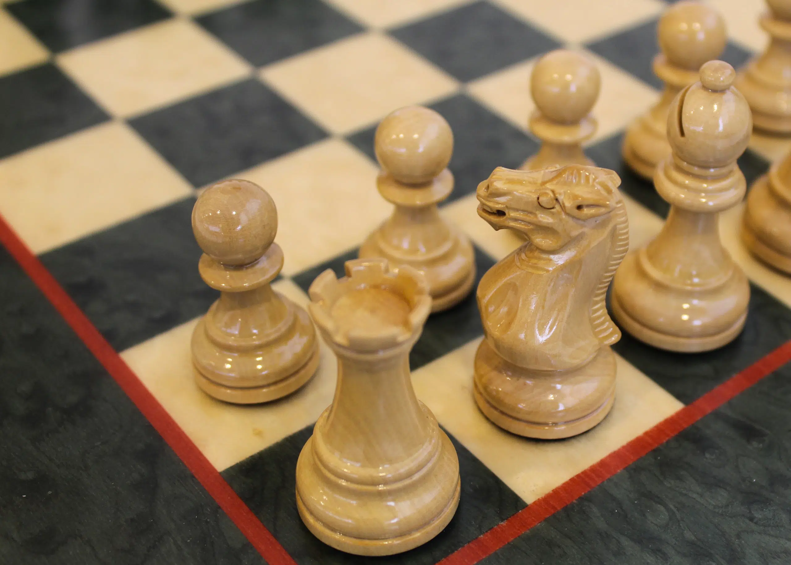 Détail du Cavalier et de la Tour d'échecs en buis laqué ivoire sur les cases de l'échiquier