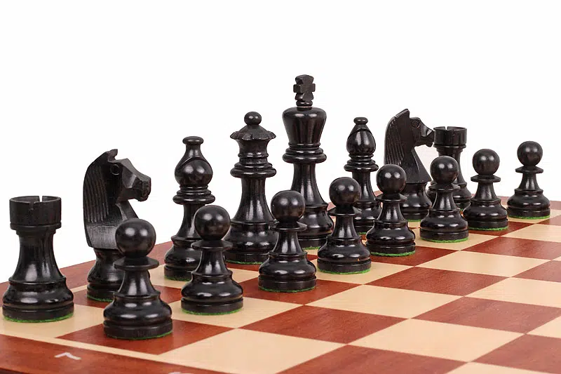 Vue rapprochée des pièces noires sur l'échiquier, illustrant la beauté du jeu d'Échecs Tournament N°5